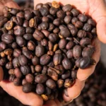 Specialty Coffee Philippines