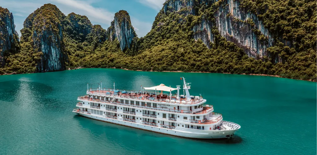 customer expansion strategy