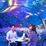 LEGOLAND underwater dining Malaysia