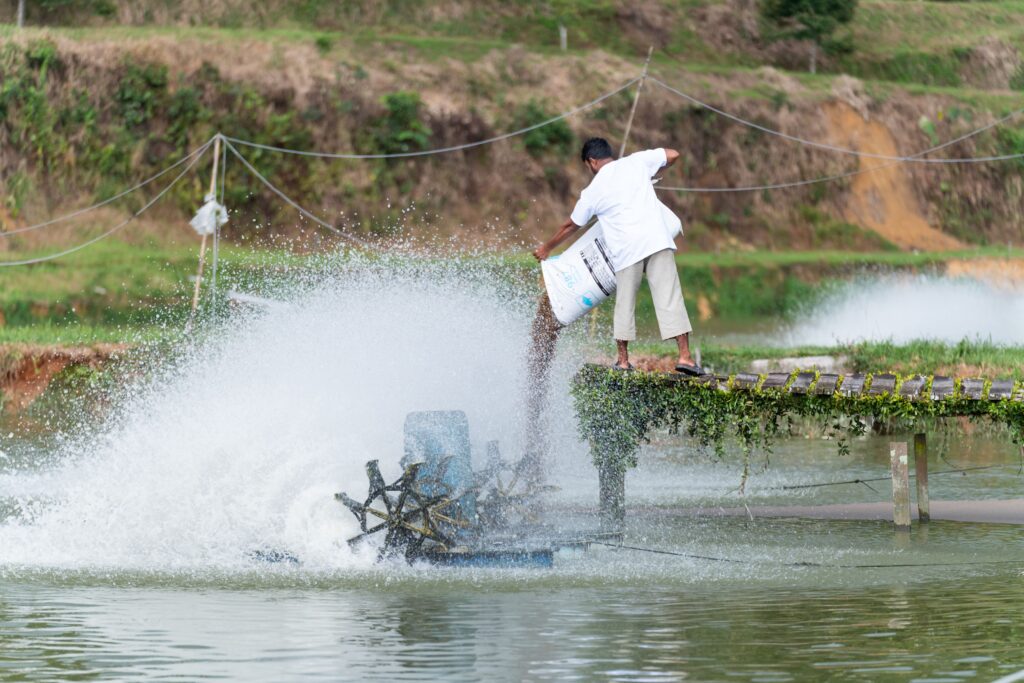 Aquaculture resilience in Asia